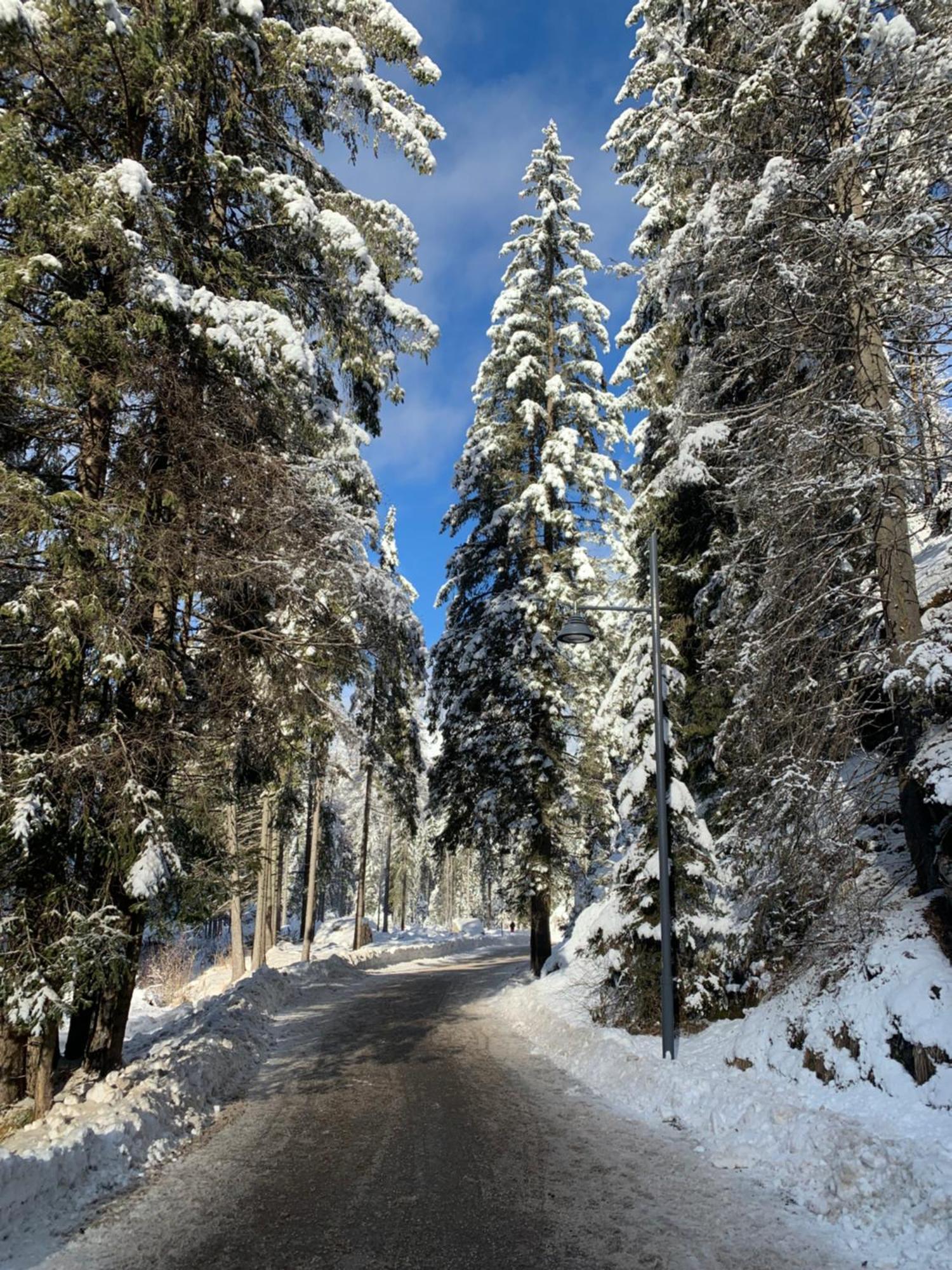 Appartamenti Chalet Orchidea Canazei Esterno foto