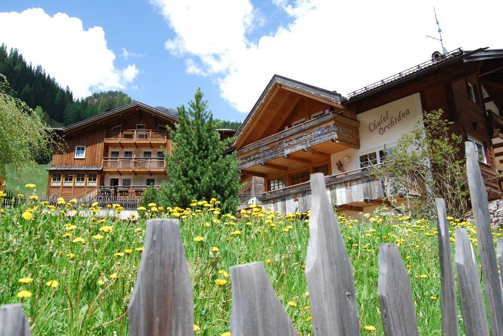 Appartamenti Chalet Orchidea Canazei Esterno foto
