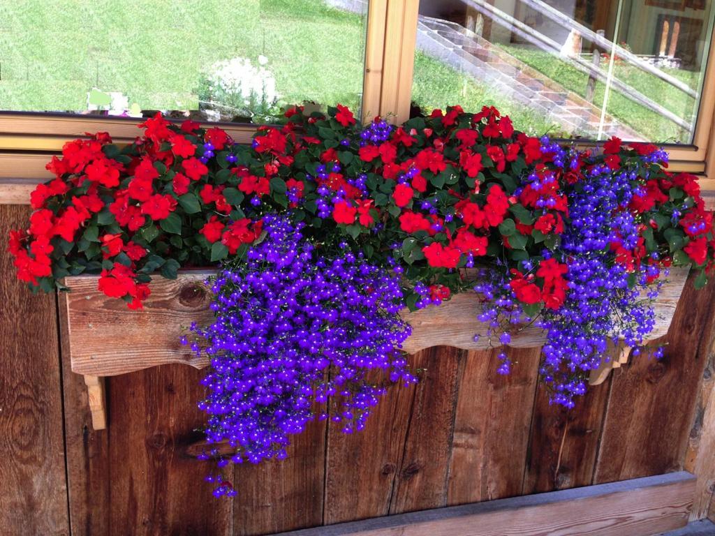 Appartamenti Chalet Orchidea Canazei Esterno foto