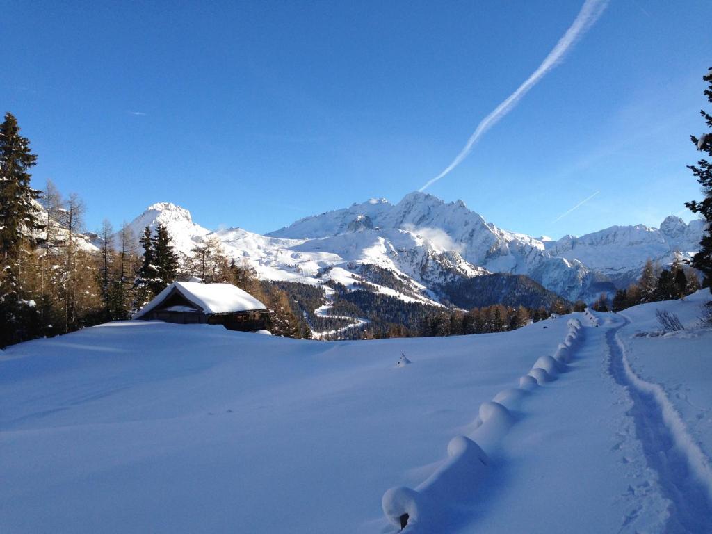 Appartamenti Chalet Orchidea Canazei Esterno foto