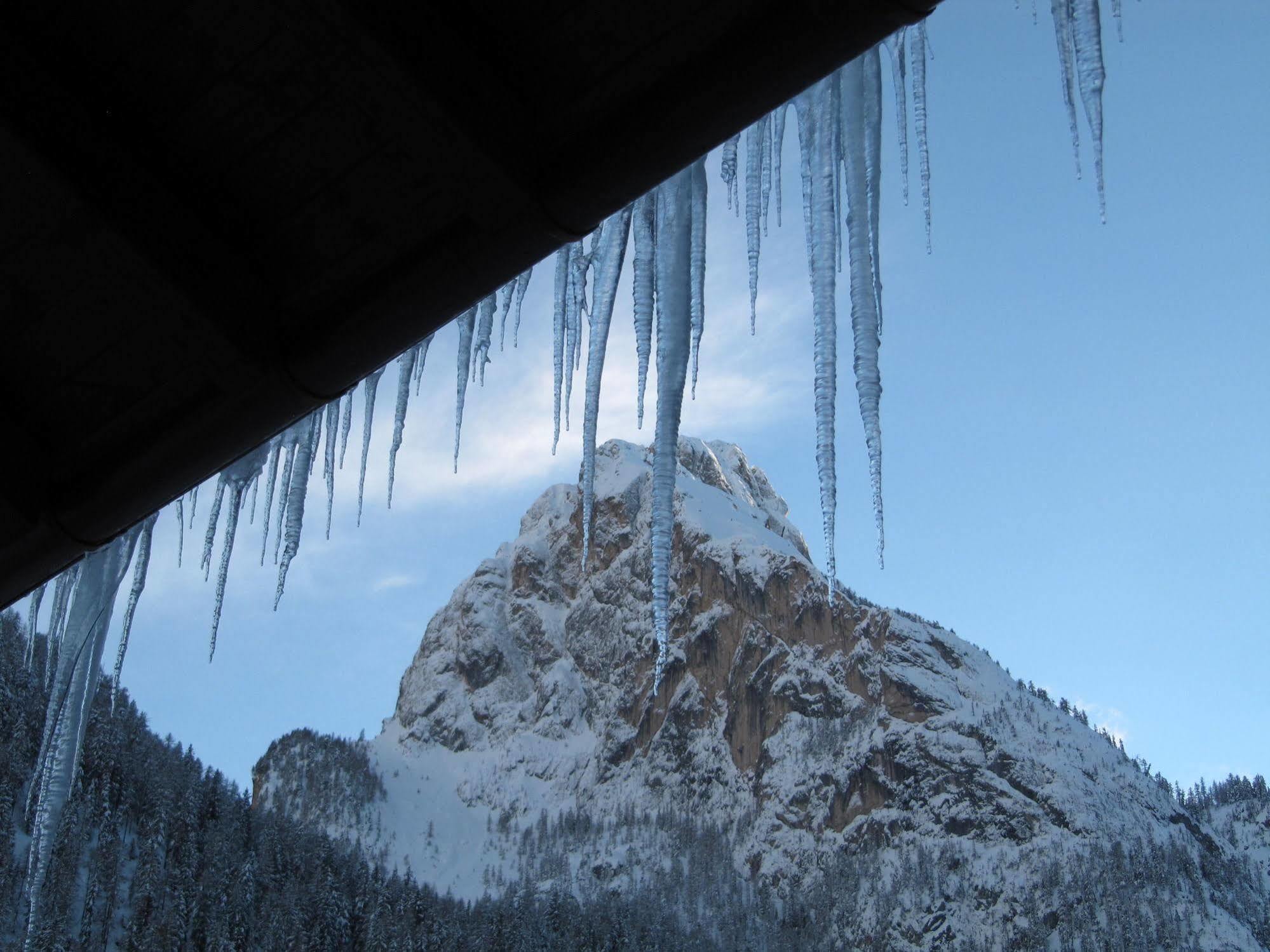 Appartamenti Chalet Orchidea Canazei Esterno foto
